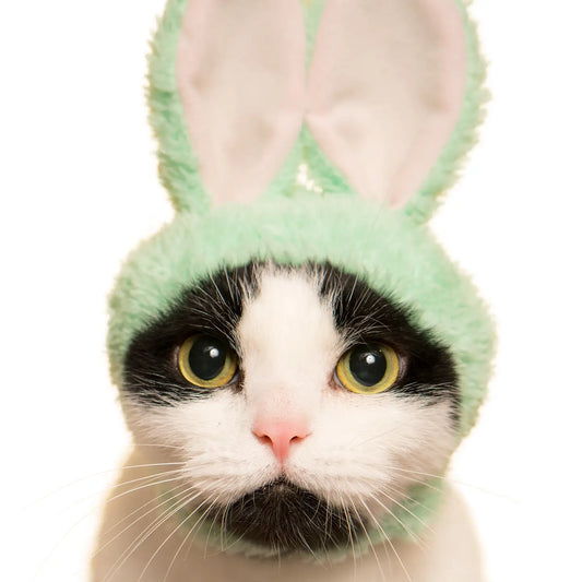 Cat Cap Rabbit Blind Box