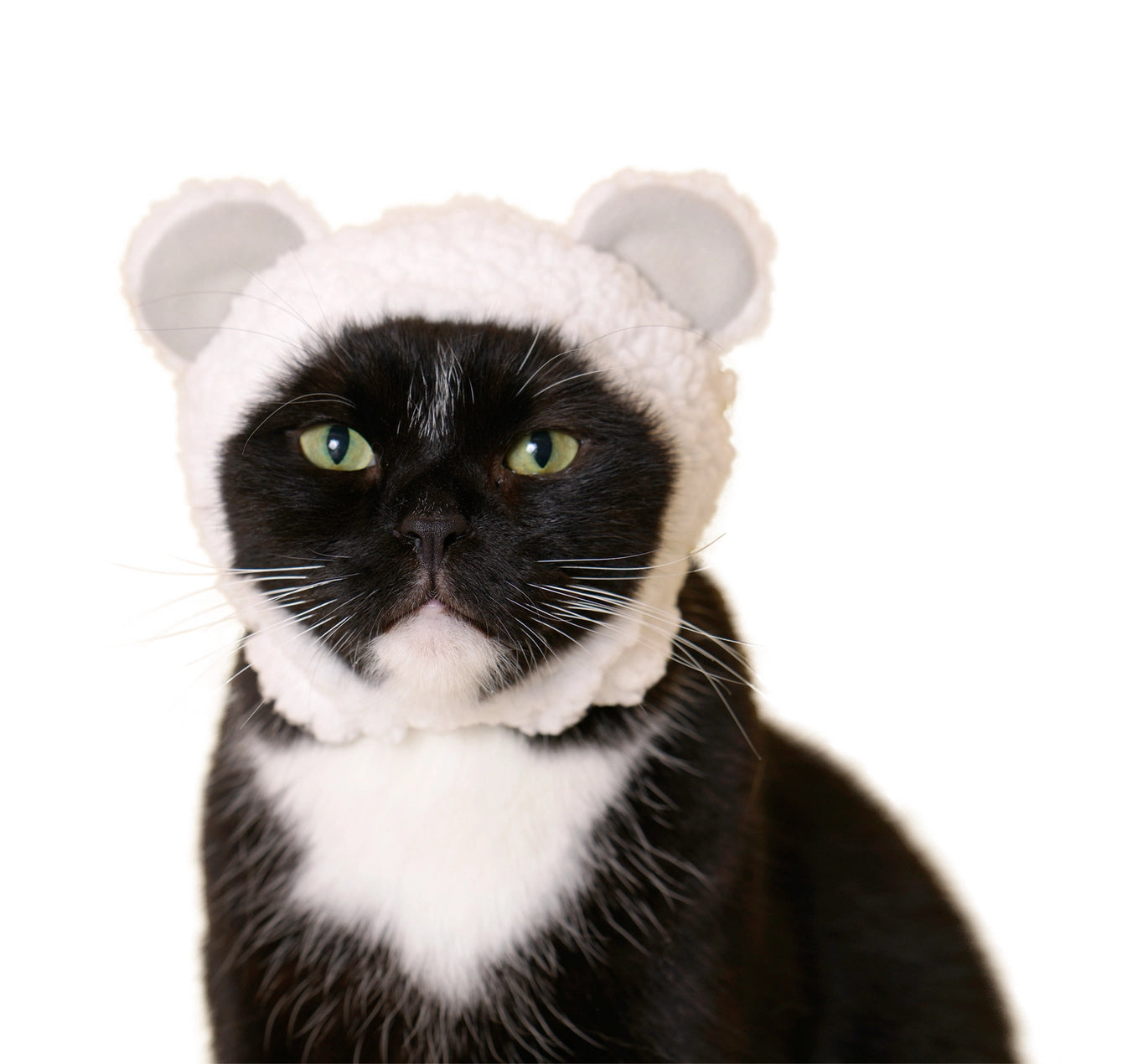 Cat Cap Bear Blind Box