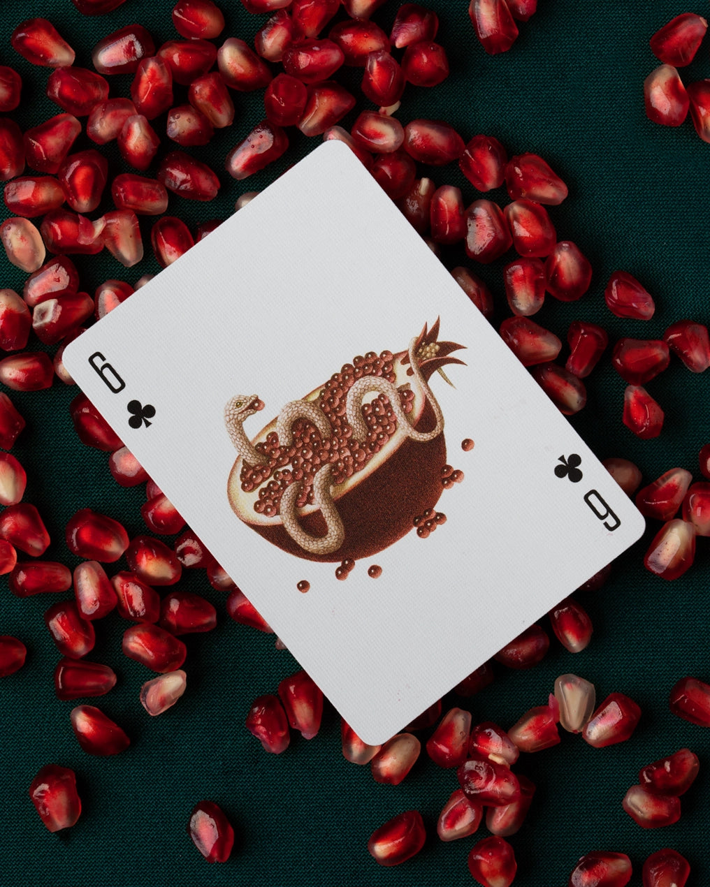 Amando Veve: Cabinetarium Playing Cards